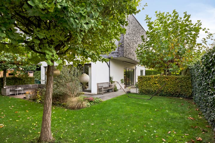 Photo 54 of Morel 22