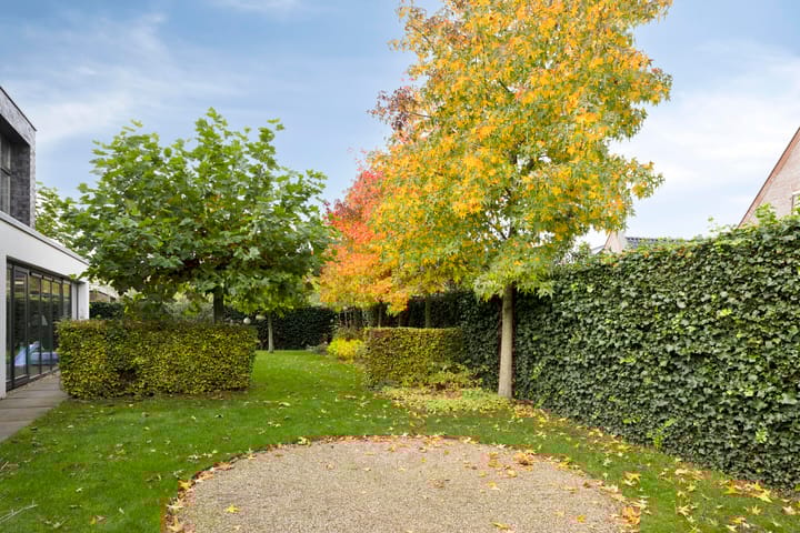 Photo 55 of Morel 22