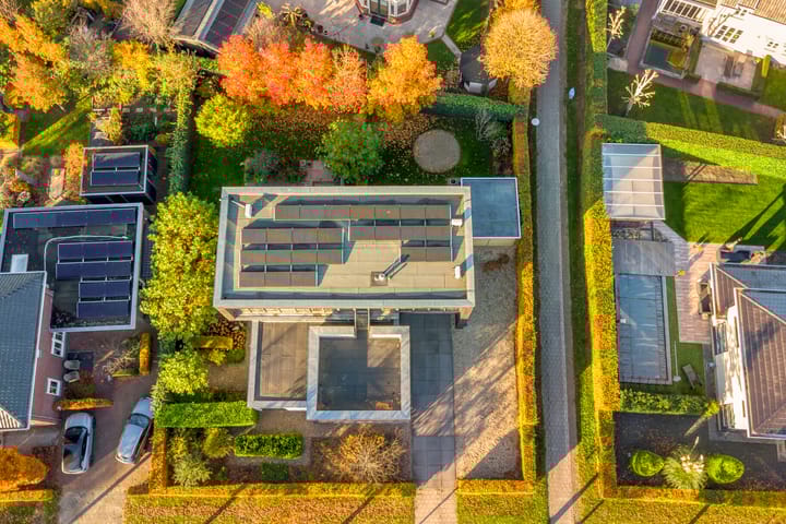 Photo 56 of Morel 22