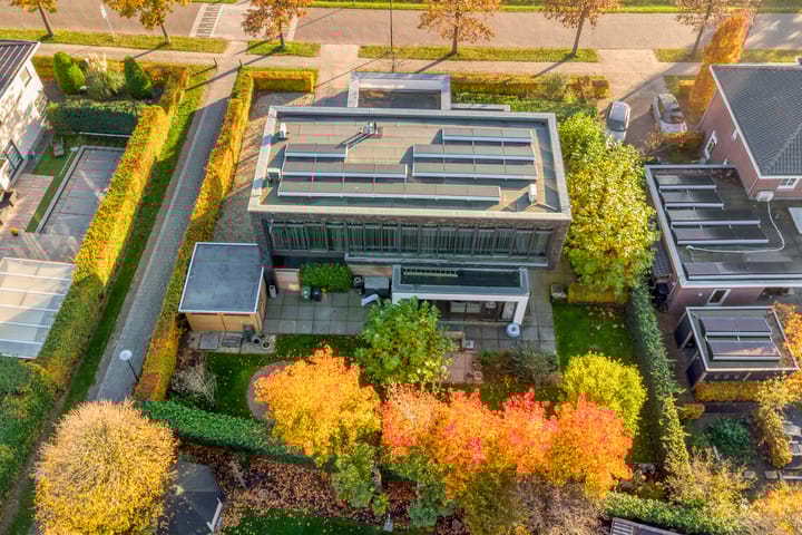 Photo 57 of Morel 22