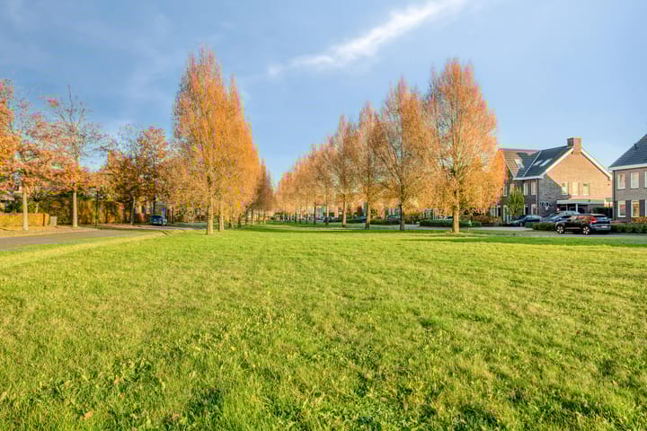 Photo 59 of Morel 22