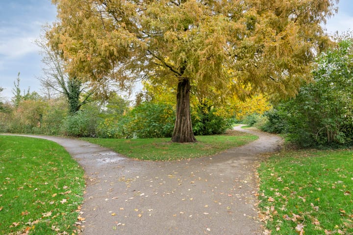 Photo 60 of Morel 22