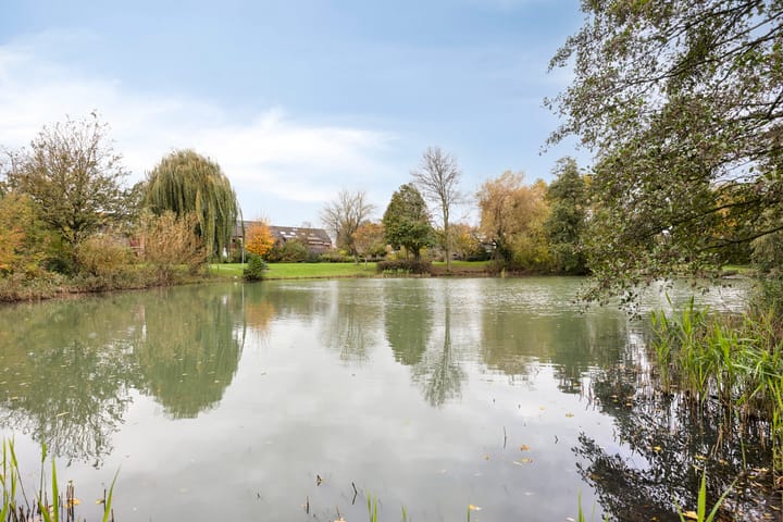 Photo 61 of Morel 22