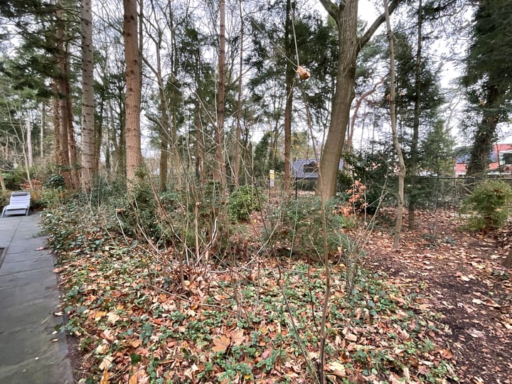 Photo 22 of Boslaan 2-14