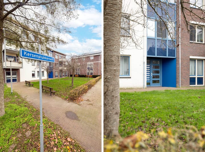 Photo 11 of Kersenplukkerserf 22