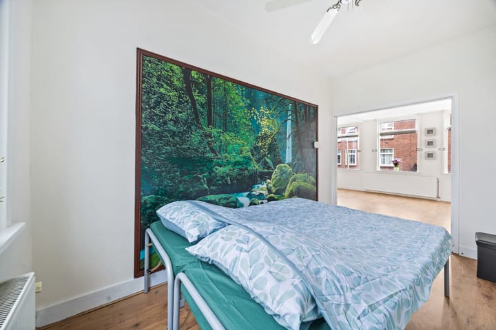 Foto 12 van Pluvierstraat 272