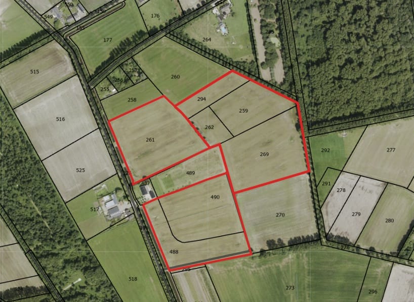 Bekijk foto 1 van Beek