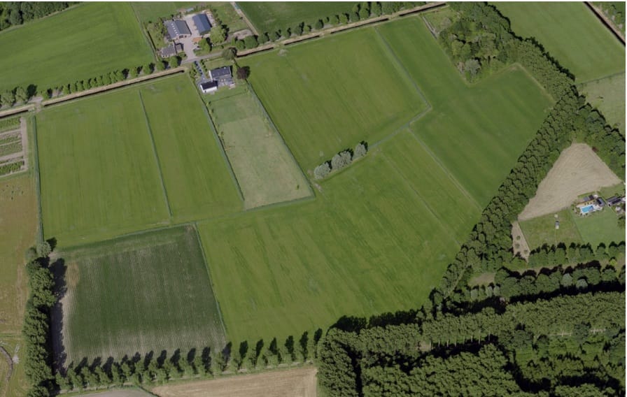 Bekijk foto 3 van Beek