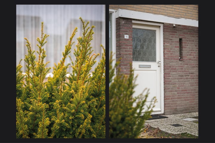 Foto 6 van Edelmanstraat 59