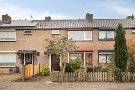 Tjerk Hiddesstraat thumbnail