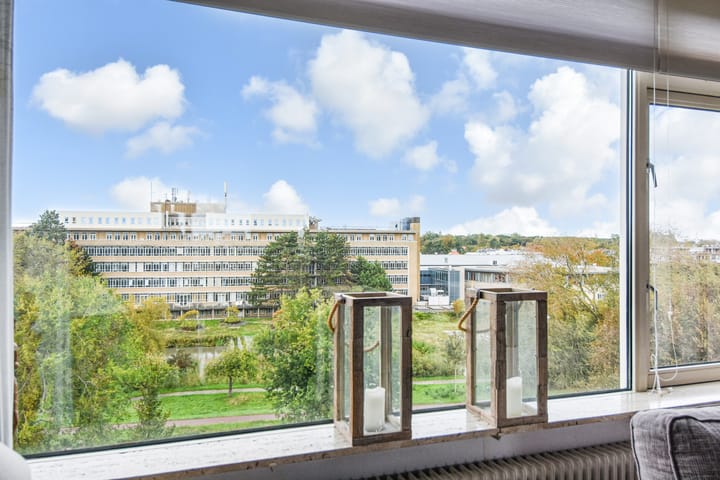 Foto 24 van Segbroeklaan 412-M