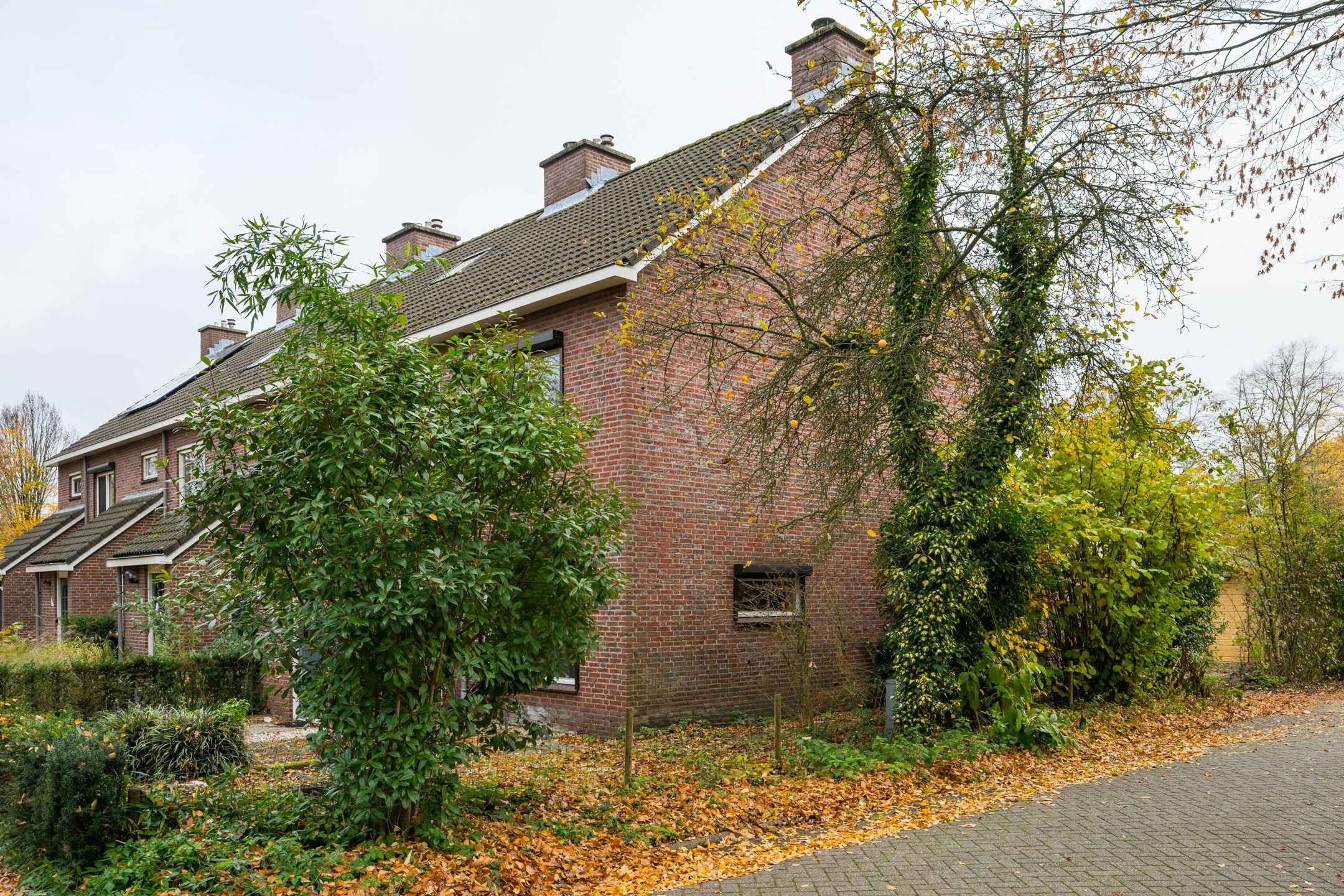 Foto 6 van Singelweg 14