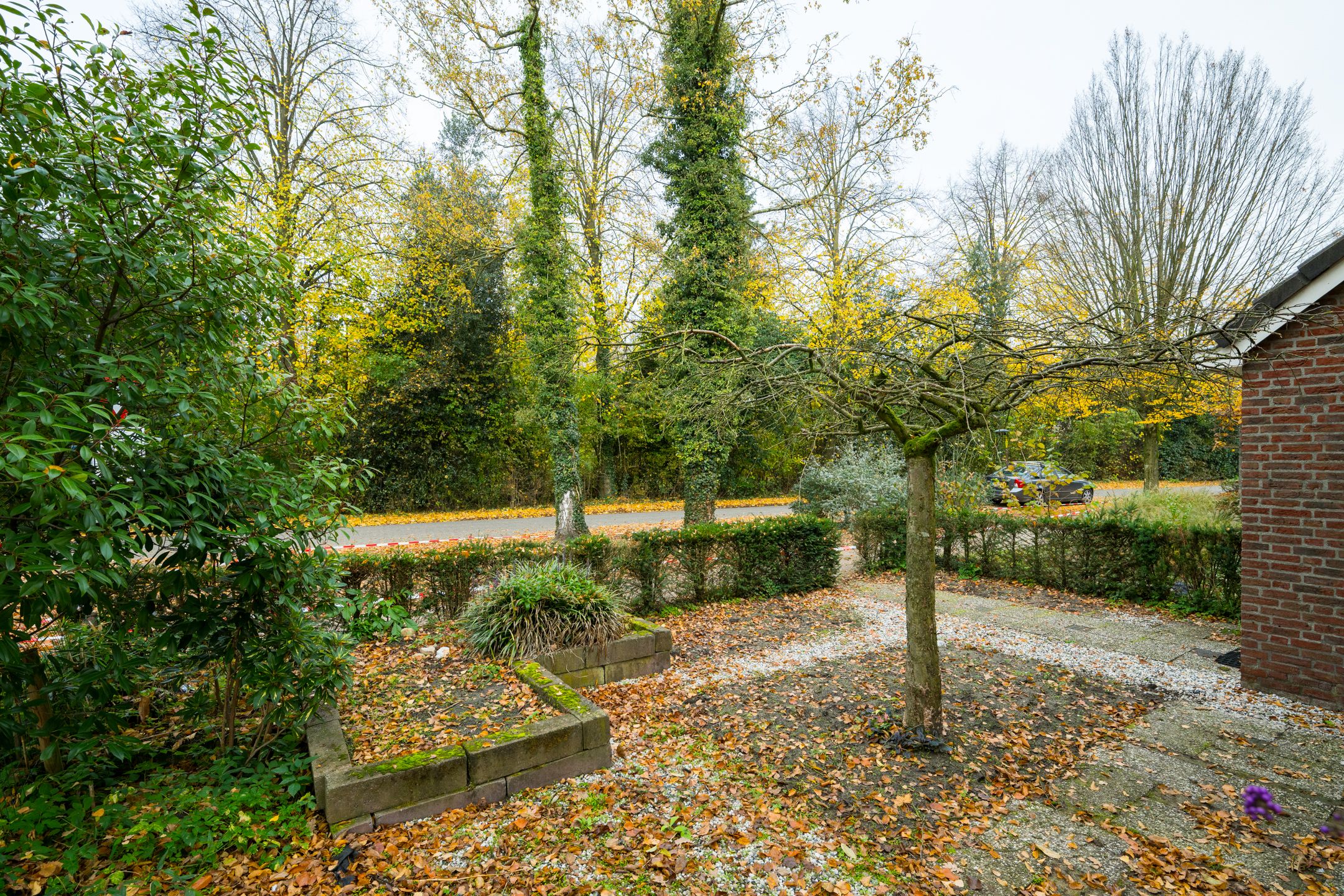 Foto 9 van Singelweg 14