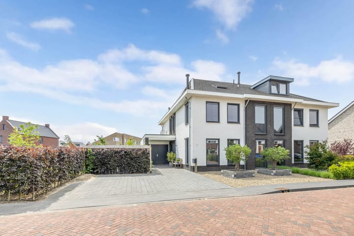 Photo 2 of Cornelis Lelyhage 1