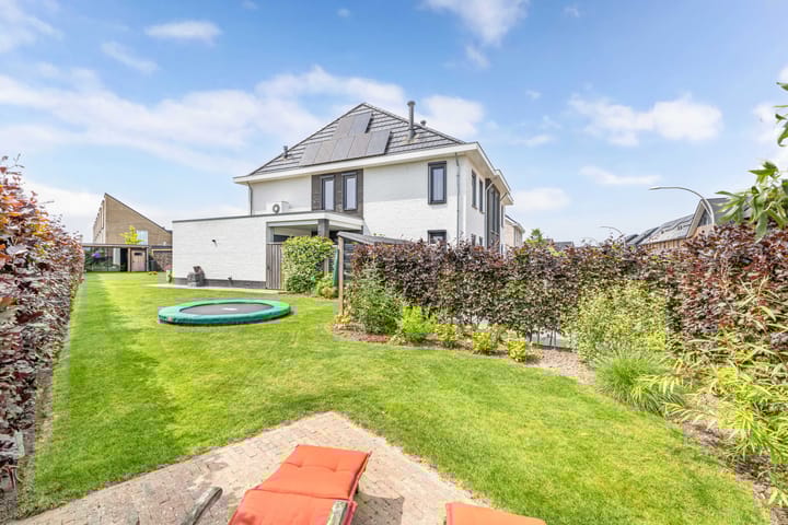 Photo 39 of Cornelis Lelyhage 1