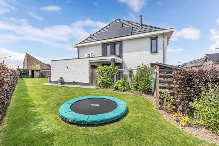 Photo 40 of Cornelis Lelyhage 1