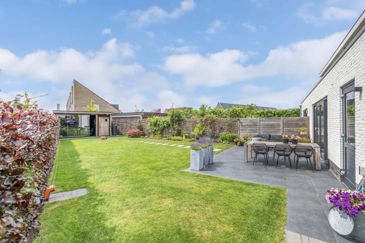 Photo 41 of Cornelis Lelyhage 1