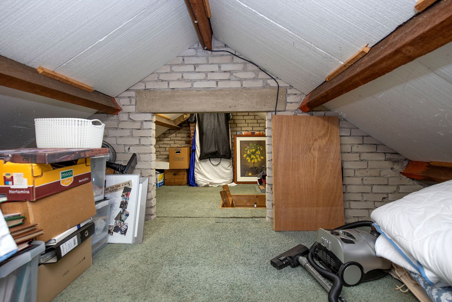 Foto 19 van Neptunusstraat 40