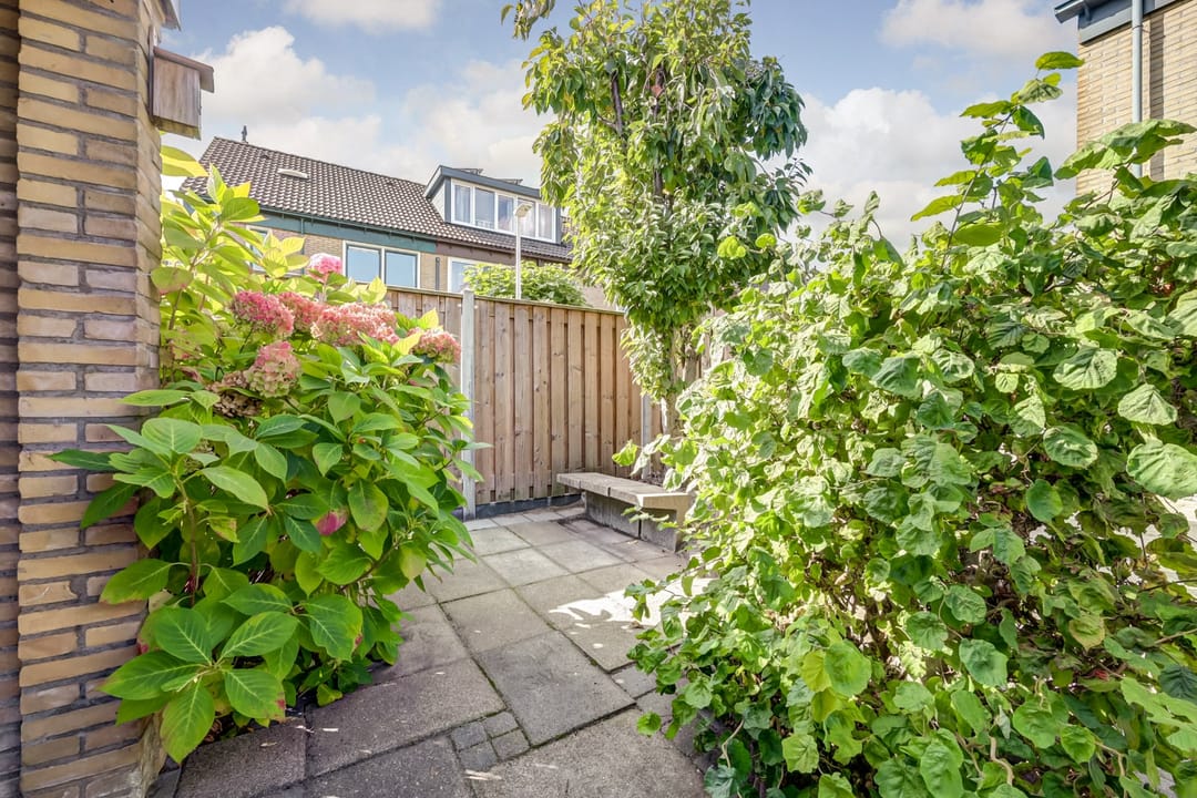 Foto 31 van Dongedal 2