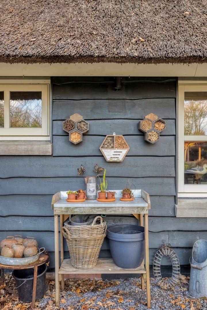 Foto 58 van Biezenstraat 7