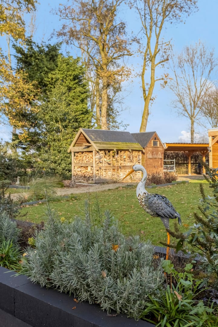 Foto 63 van Biezenstraat 7