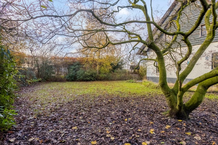 Foto 67 van Biezenstraat 7