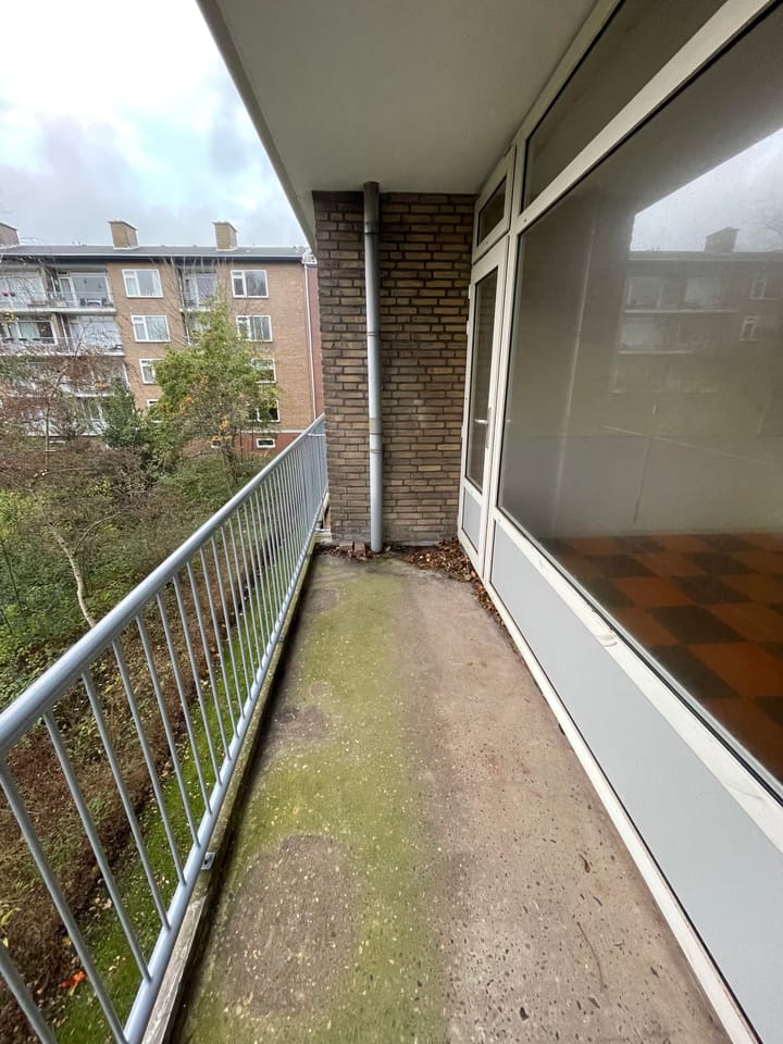 Foto 17 van Carel van Manderstraat 25