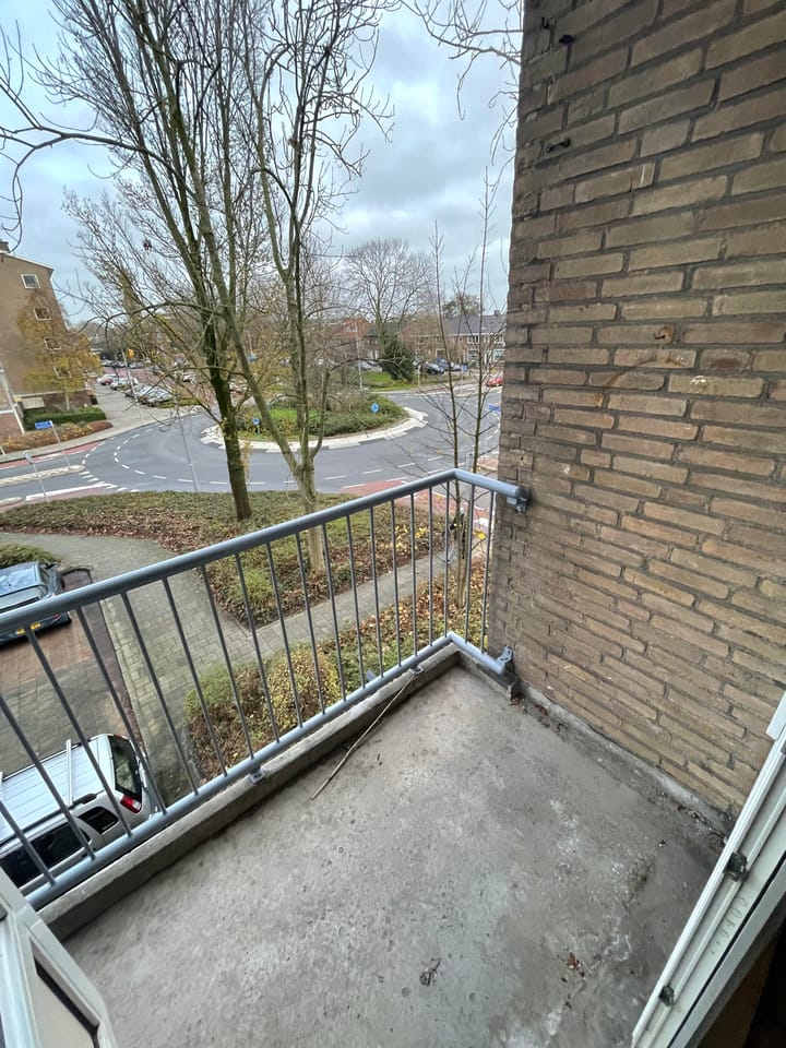 Foto 19 van Carel van Manderstraat 25