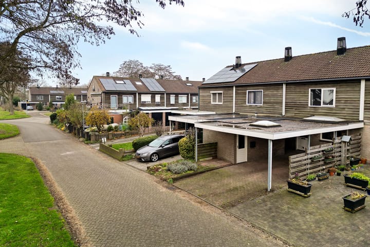 Foto 38 van Appelvink 60