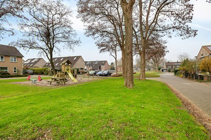 Foto 42 van Appelvink 60