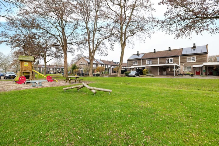 Foto 43 van Appelvink 60