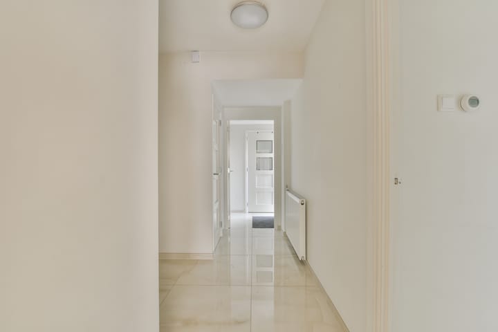 Foto 7 van Turfschip 264