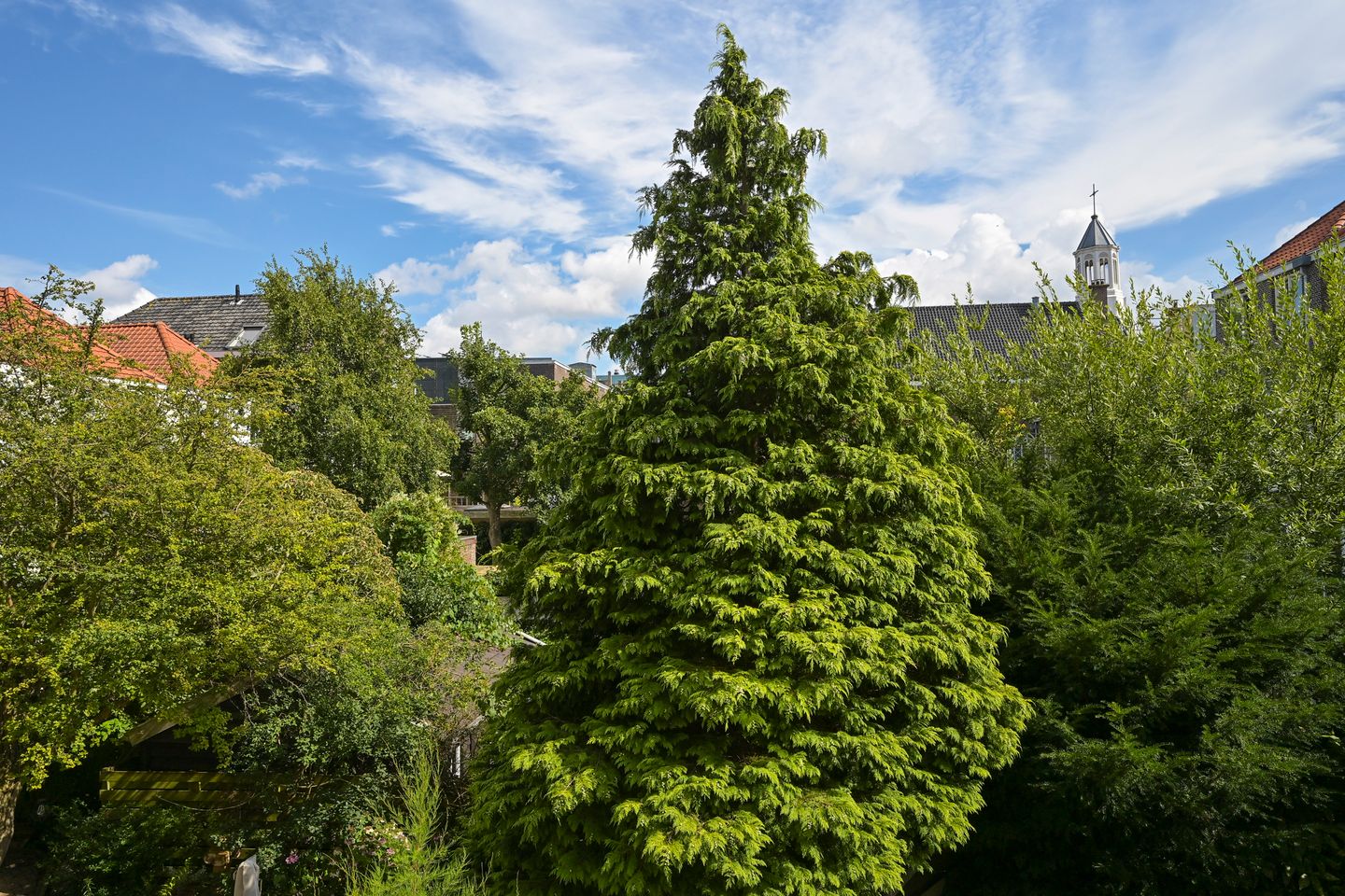 Foto 34 van Vondelstraat 68