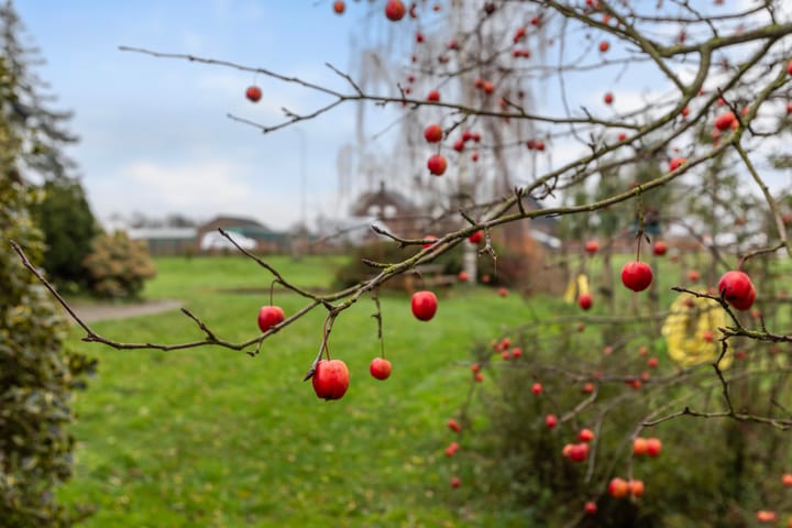 Photo 42 of Zutphenseweg 10