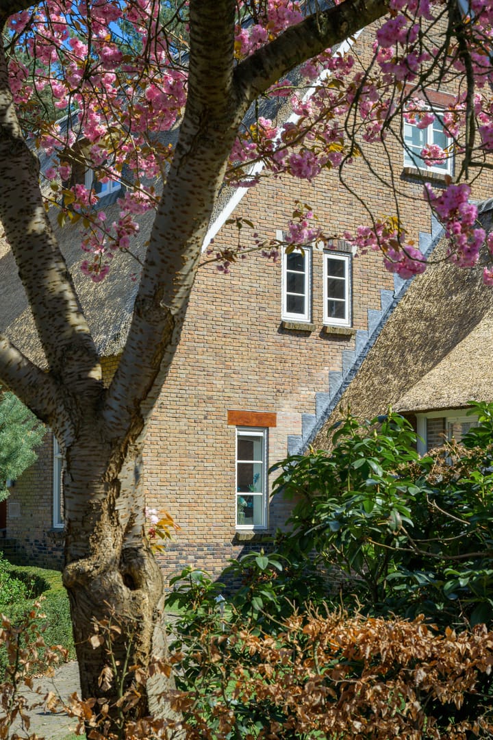 Foto 3 van Montenspark 1