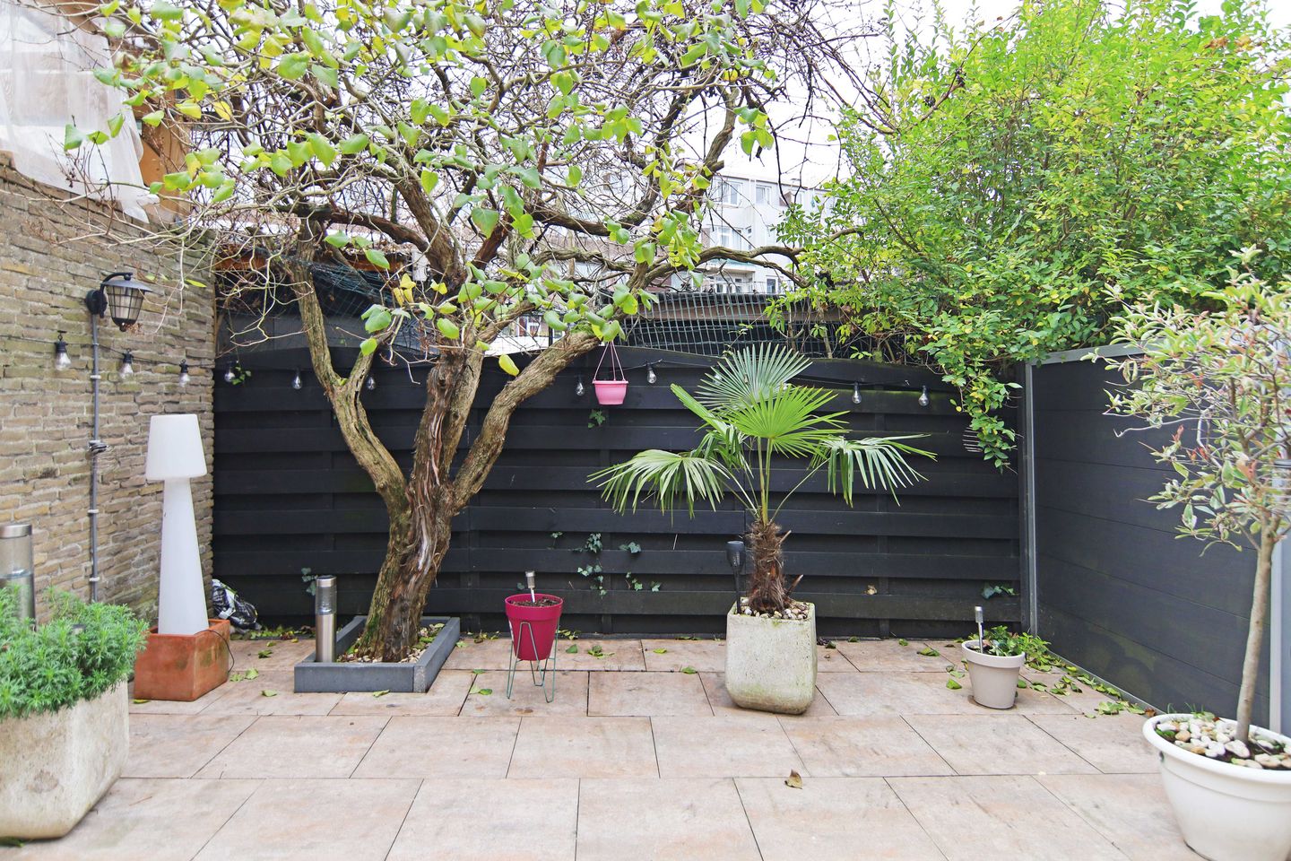 Foto 14 van Kerdijkstraat 18-B