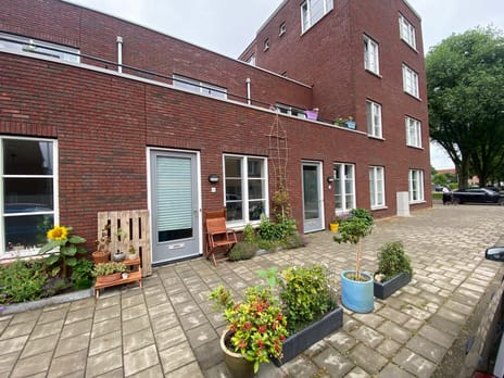 undefined main image