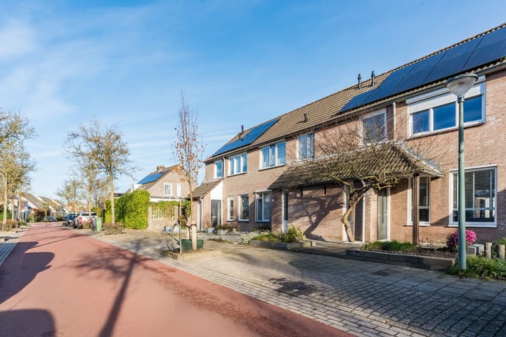 Photo 6 of Zomerland 67