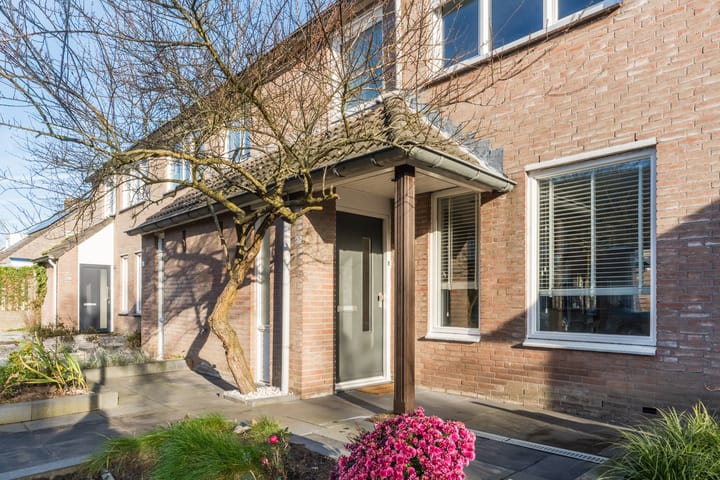 Photo 7 of Zomerland 67