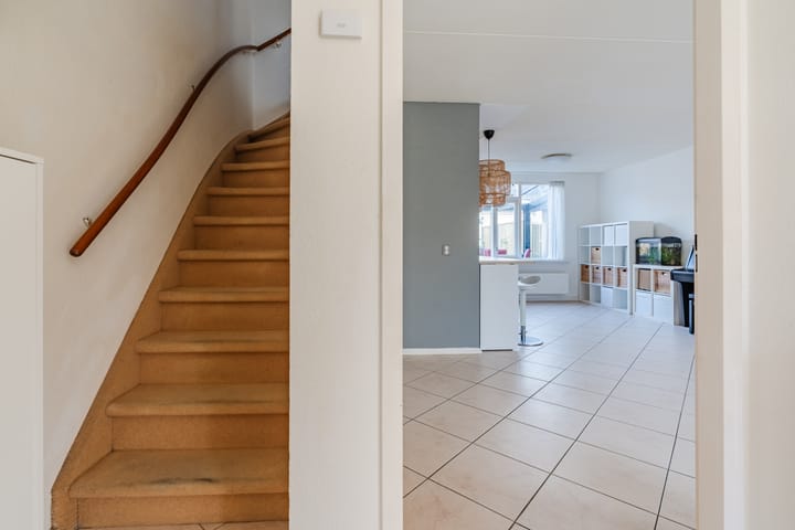 Photo 8 of Zomerland 67