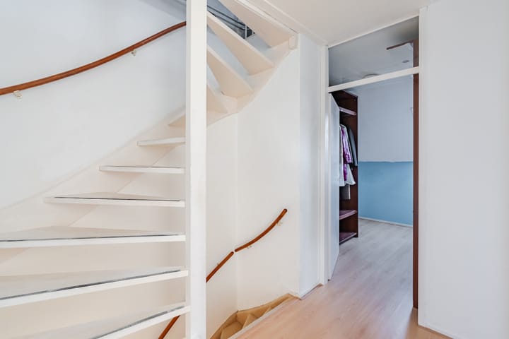 Photo 20 of Zomerland 67