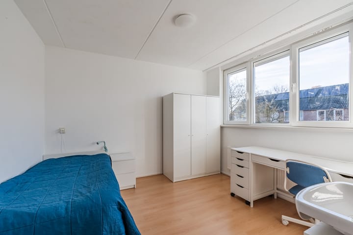 Photo 23 of Zomerland 67