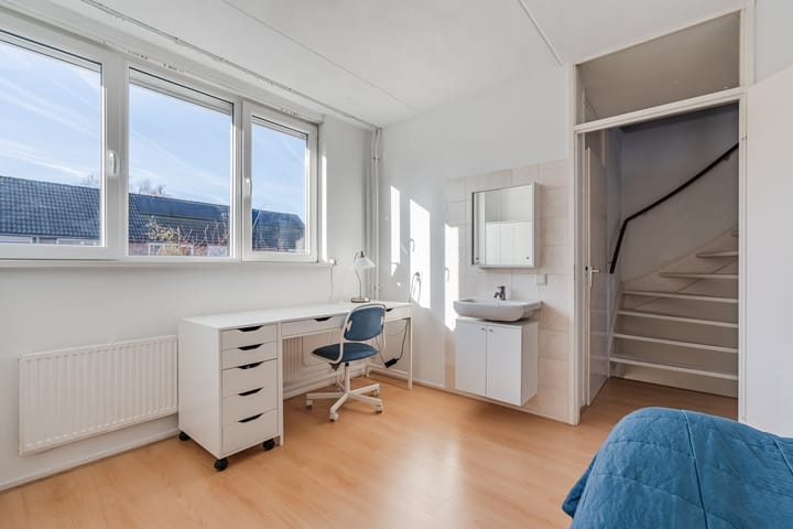 Photo 24 of Zomerland 67