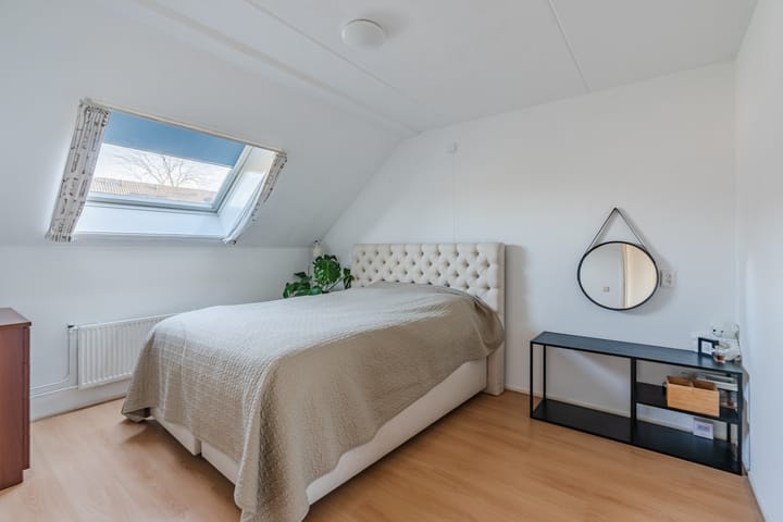 Photo 21 of Zomerland 67