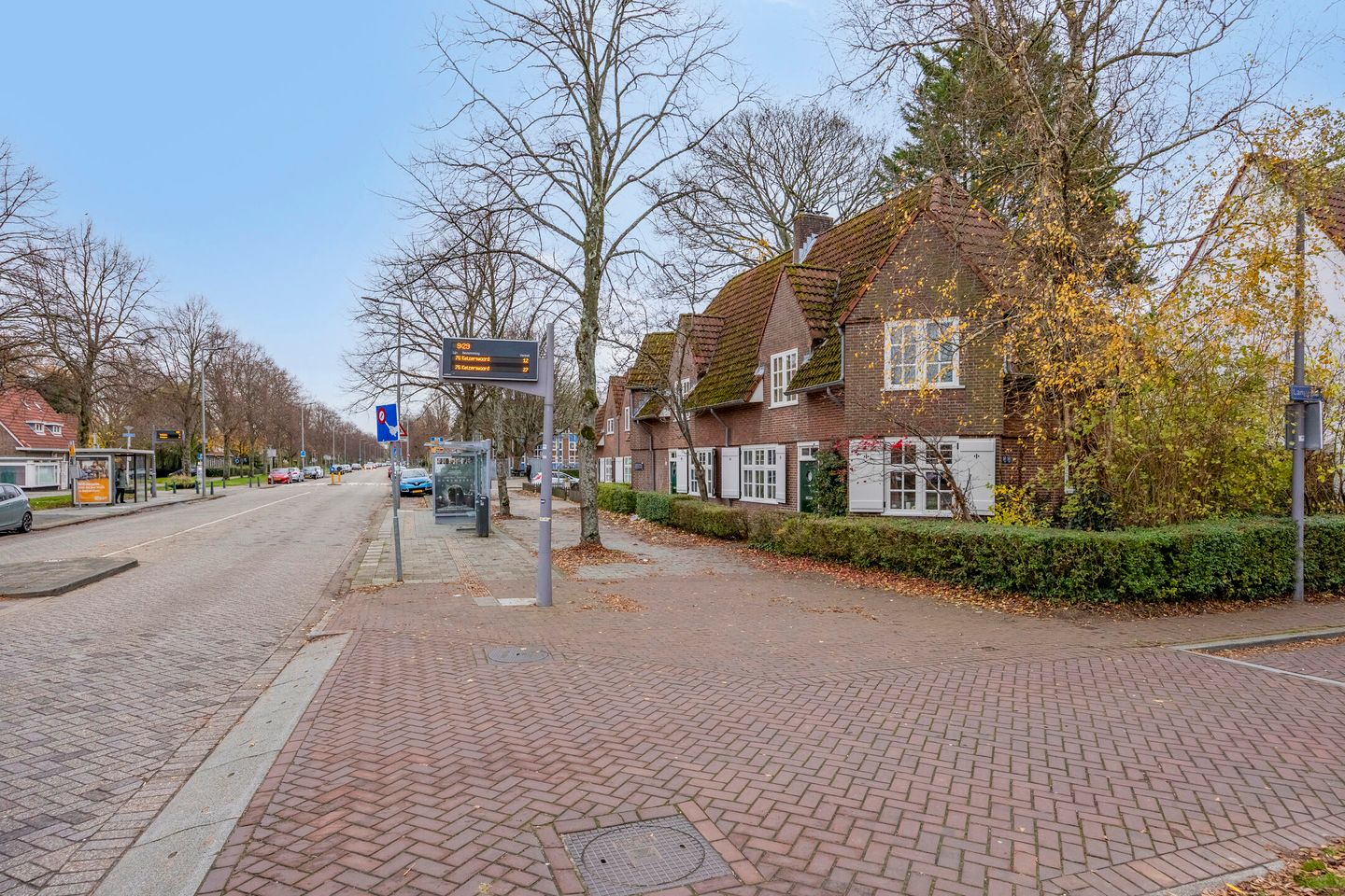 Photo 10 of Groenezoom 162