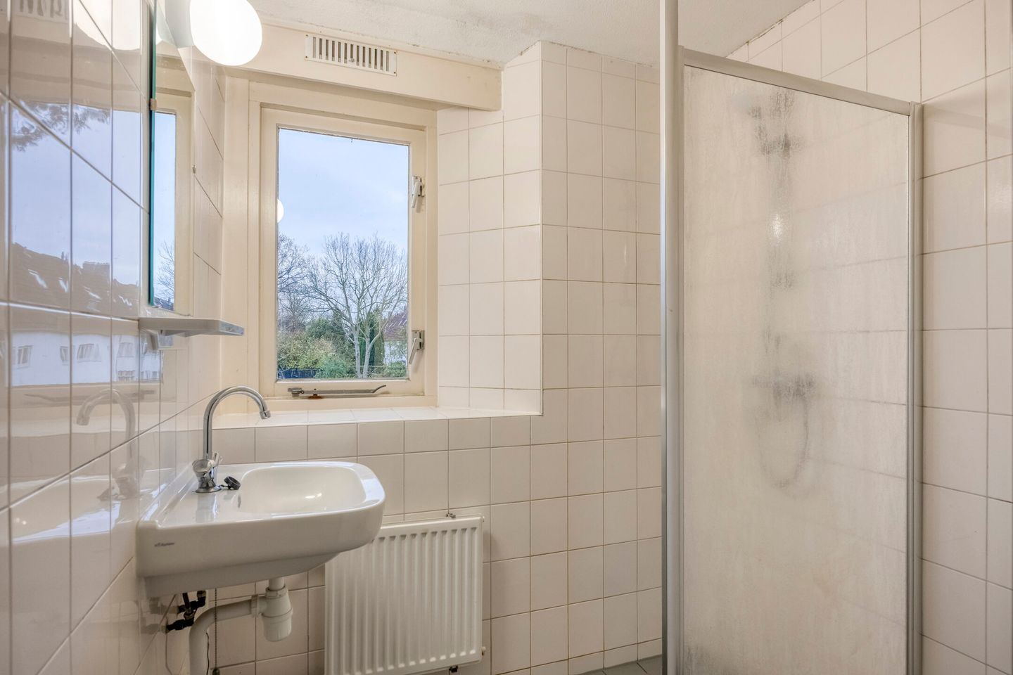 Photo 29 of Groenezoom 162