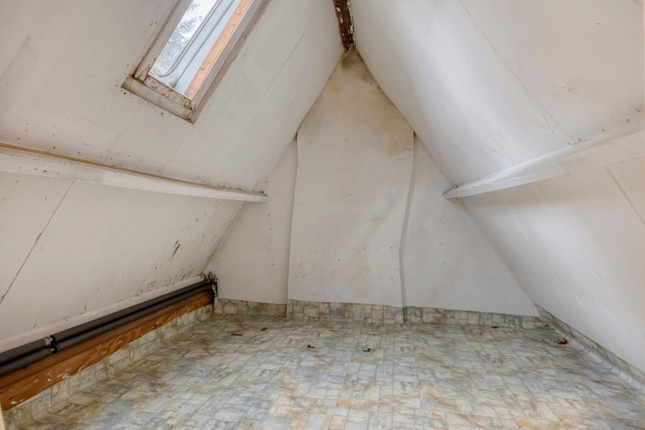 Photo 36 of Groenezoom 162