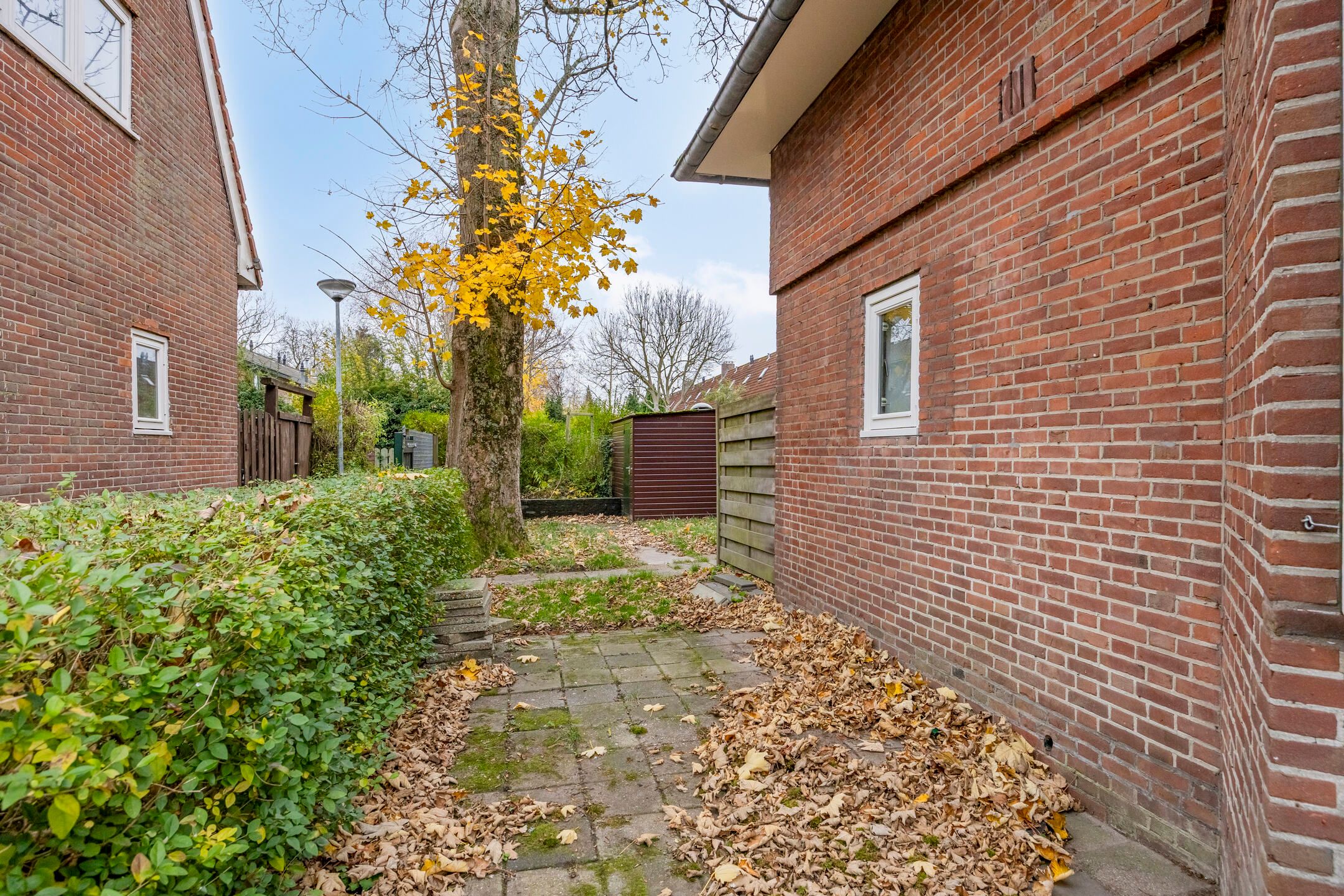 Photo 42 of Groenezoom 162