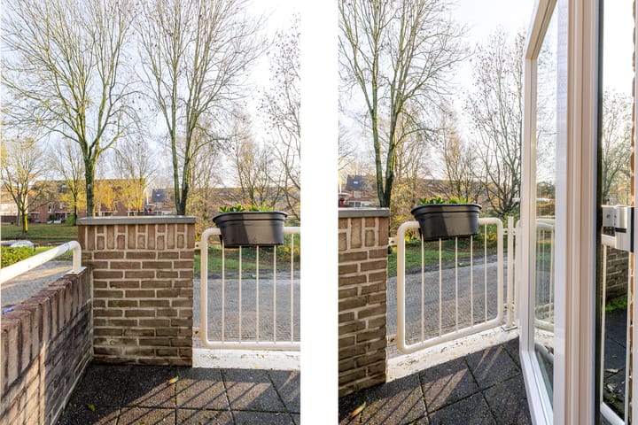 Foto 25 van Koriandergaarde 10