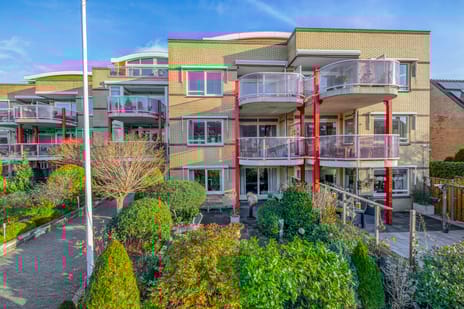 undefined main image